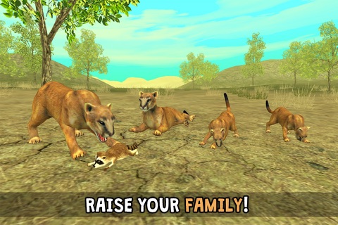 Wild Cougar Sim 3D - Real Wildlife Simulator screenshot 2