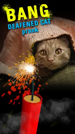 Game screenshot Bang Deafened Cat Prank hack