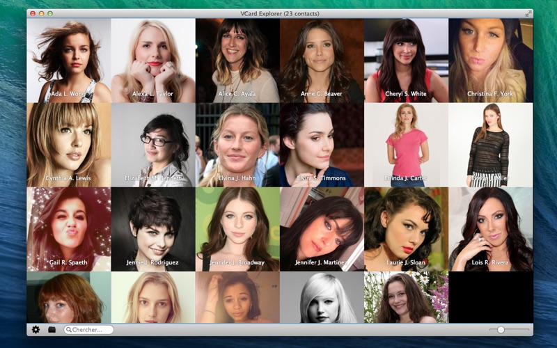 Screenshot #1 pour VCard Explorer