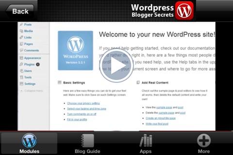 Blogger Secrets for Wordpress FREE - How To Make Money & Work From Home Online screenshot 3