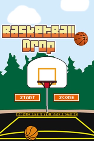 Basketball Drop - Catch the Ball Adventure screenshot 2