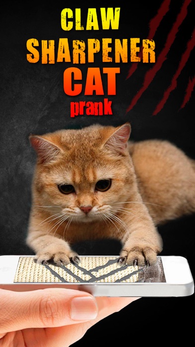 Screenshot #3 pour Claw Sharpener Cat Prank