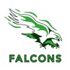 FalconsNest