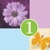 1 Clue: Words and Syllables - iPhoneアプリ