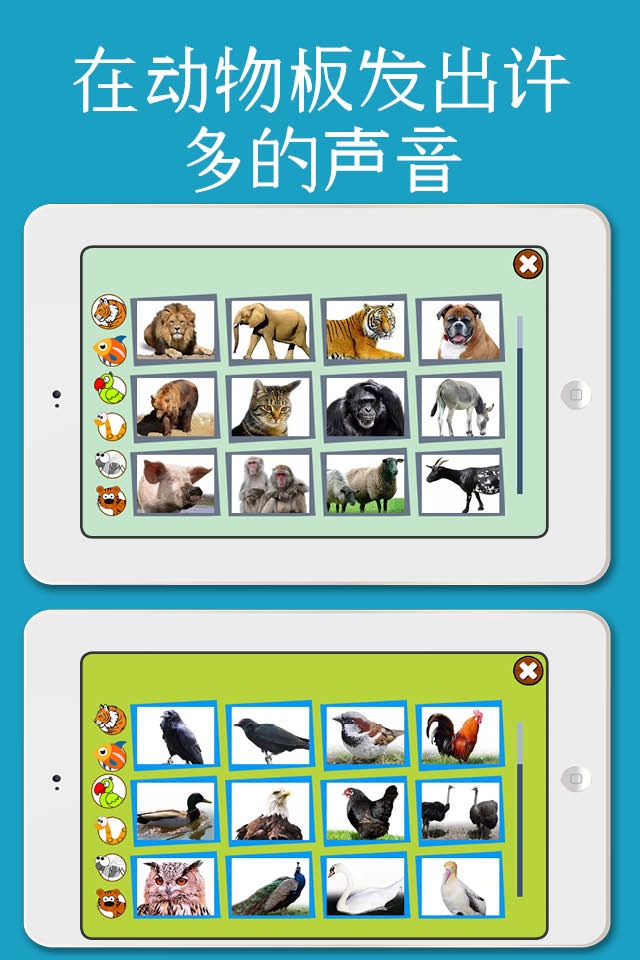 Animal sounds and pictures, hear jungle sound in Kids zoo, Petting zoo with real images and sound screenshot 4