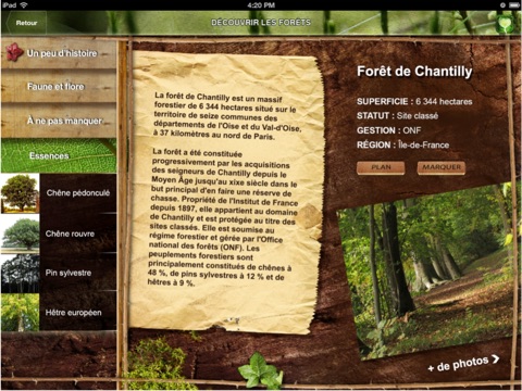 Bois Forêt : pour découvrir les forêts françaises et l'univers du bois screenshot 2