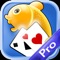 Dream Gold Fish Pocket Solitaire With Attitude Tiny Cards Adventure Pro