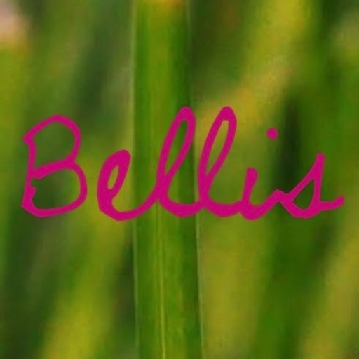 Bellis icon