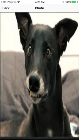 Game screenshot Funny Camera Prank apk