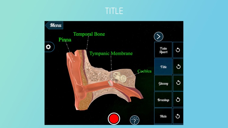 Virtual Reality(VR) Human Ear