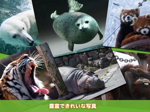 旭山動物園 なぞとき！どうぶつ図鑑〜飼育員さんが教えてくれたとっておきの話〜 screenshot 2