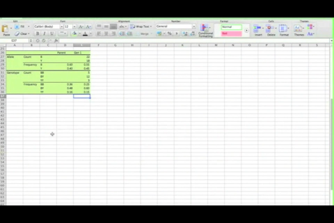 AP Biology Hardy-Weinberg Spreadsheet Tutorial screenshot 2