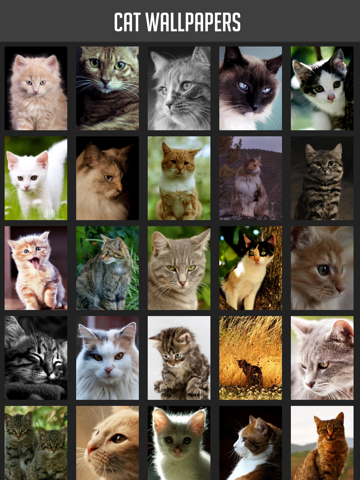 Screenshot #4 pour Cat Wallpapers!