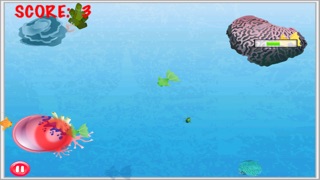 finger fly fishing frenzy