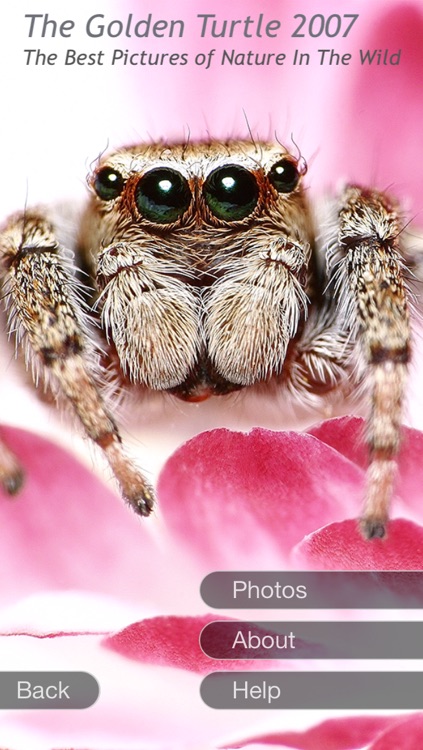 Voynich Gallery screenshot-4