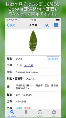 葉っぱ図鑑 - Leaf Dictionary -のおすすめ画像5