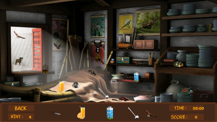 Detective Sara's Hidden Objects screenshot-3