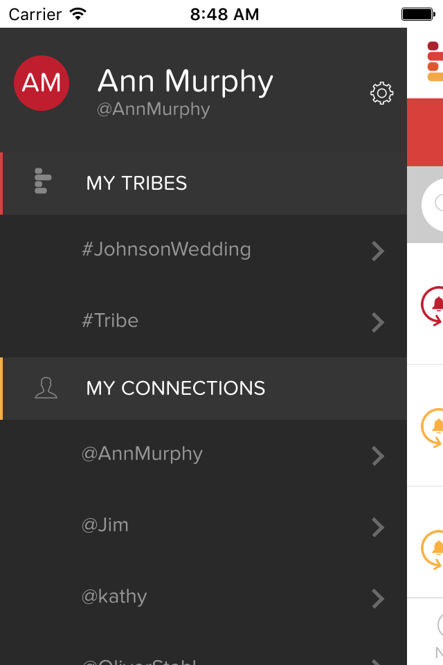 Tribe Task Management