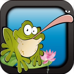 Toad and Frog Games - The Tiny Frogs Swamp Escape Game