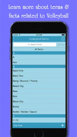 Game screenshot VolleyBall Terms apk