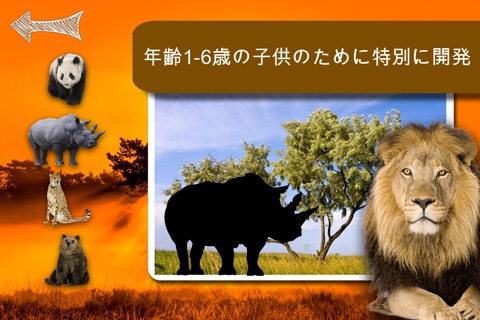 Shape Game Wildlife Photo for kids screenshot 2