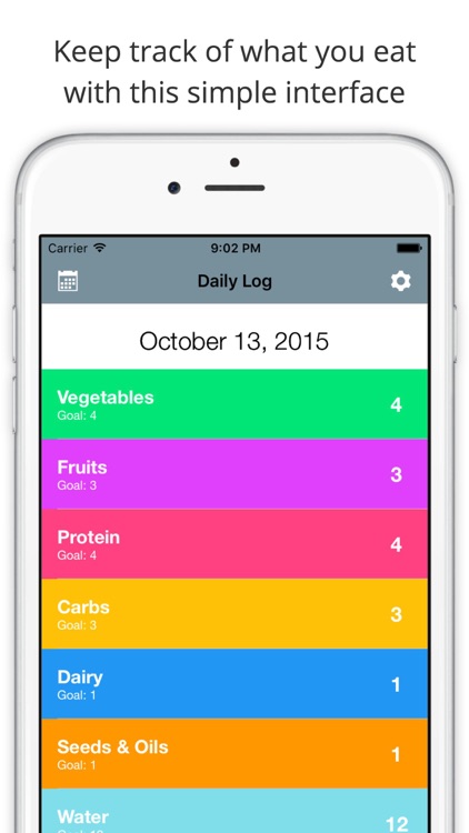 My Simple 21 Day Log