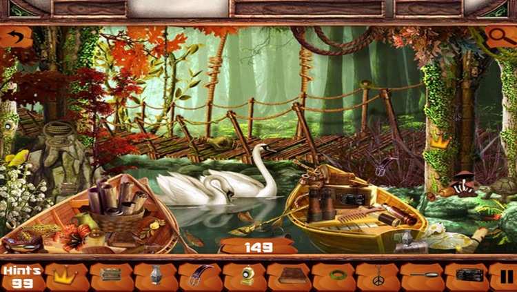 Mystery in Jungle Hidden Objects edition