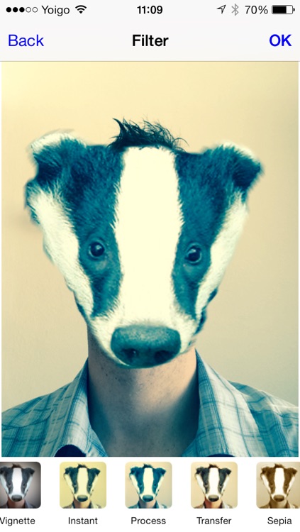 Badger Face