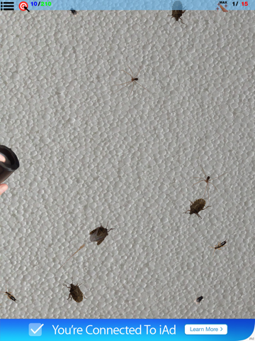 Bytesects Real insects smasher game and screen saver. Games