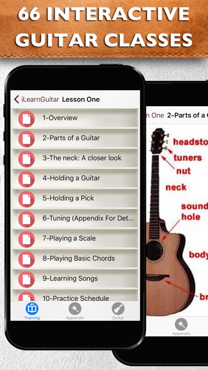 Learn Guitar Theory