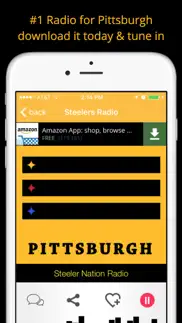 pittsburgh gameday radio for steelers pirates pens problems & solutions and troubleshooting guide - 4