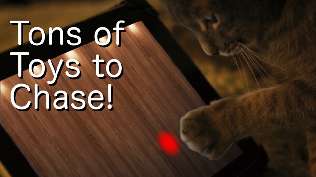 Say Cheese! Games for Cats(圖3)-速報App