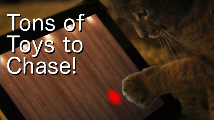 Say Cheese! Games for Cats
