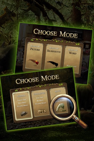 Animal Kingdom - A Hidden Object Fantasy Game Free screenshot 4