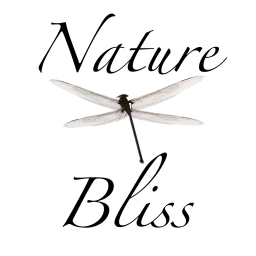 Meditation Music: Nature Bliss icon