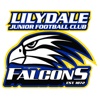 Lilydale Junior Football Club