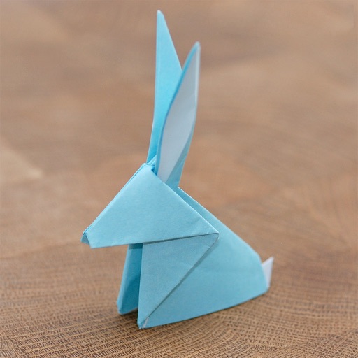 Origami by Magic Wand