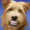 Very Funny Gifs - Share, Send, View Fun Images that will make You Laugh anmeldelser
