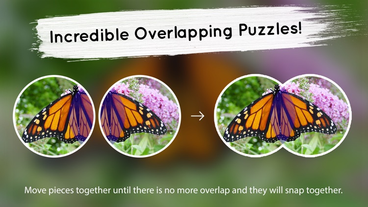 Venn Butterflies: Overlapping Jigsaw Puzzles