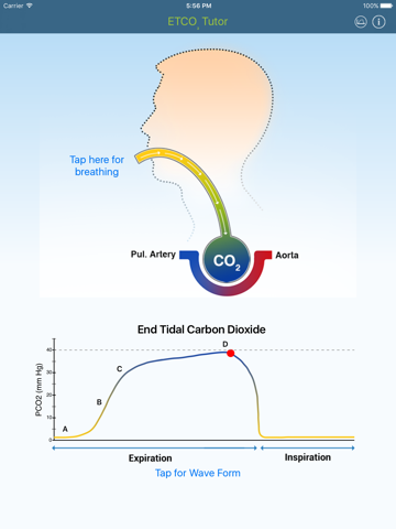 Screenshot #4 pour ETCO2 Tutor