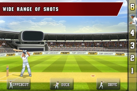 Tap Cricket 2013 screenshot 3