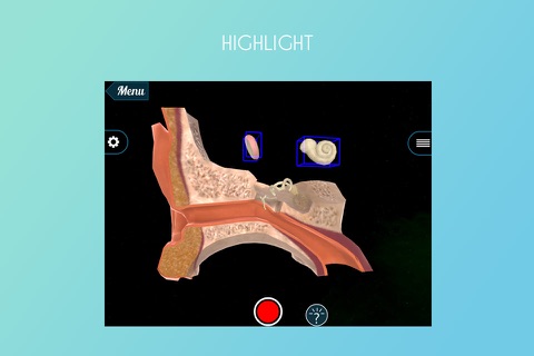 Virtual Reality(VR) Human Ear screenshot 3