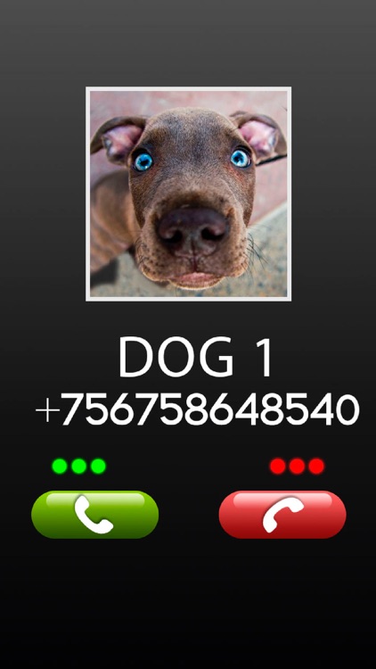 Fake Call Dog Prank