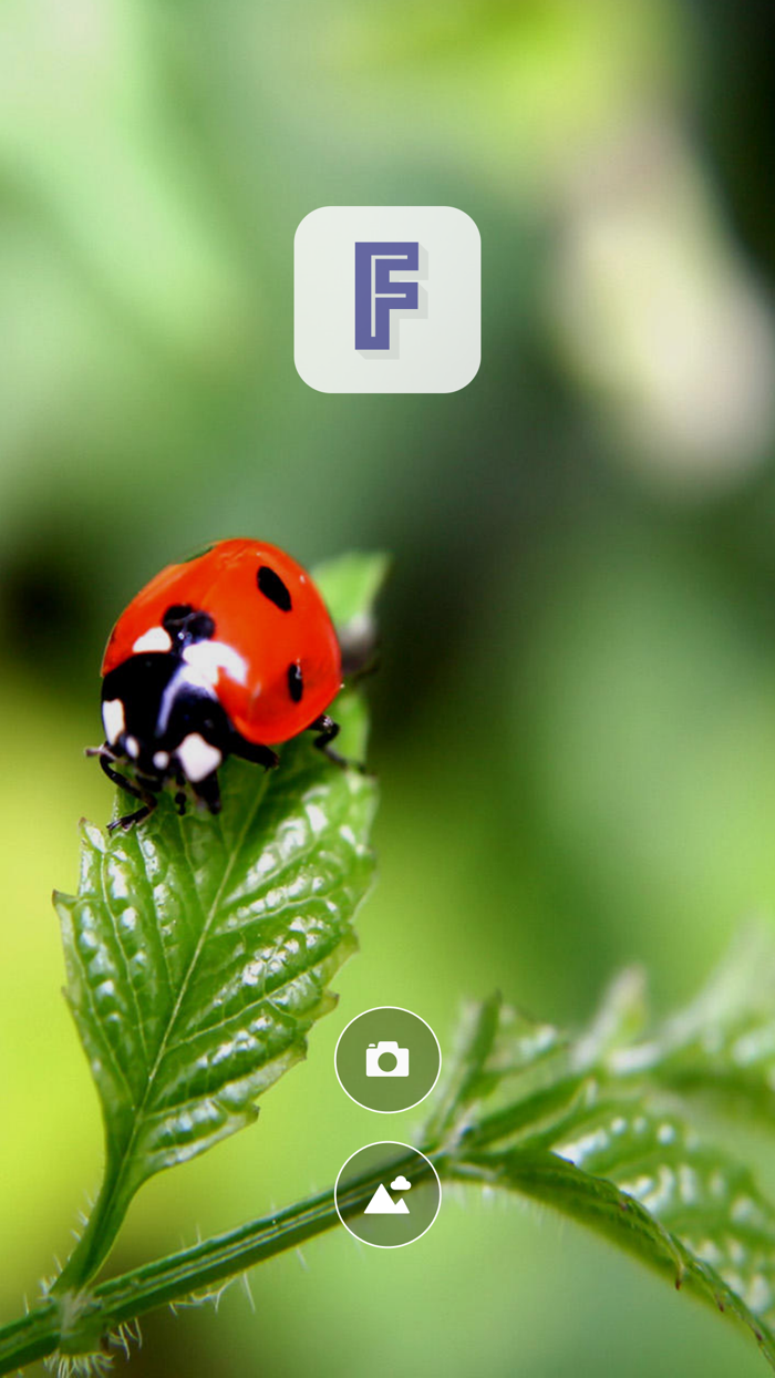 اكتب على الصور