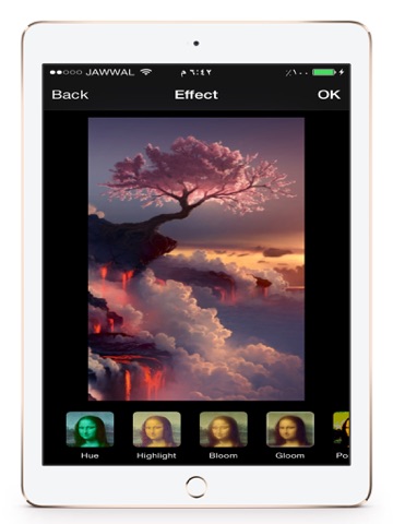صانع ثيمات الصور iPad screenshot 4 - Photo & Video app