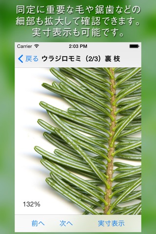 葉っぱ図鑑 - Leaf Dictionary -のおすすめ画像3