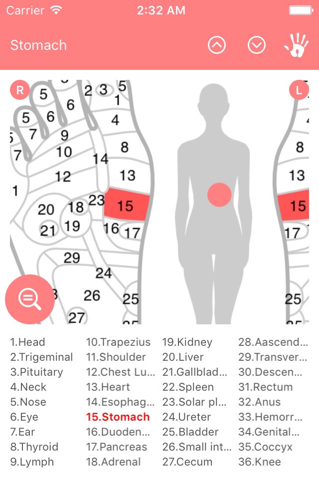 Reflexology Chart (Foot & Hand) screenshot 2