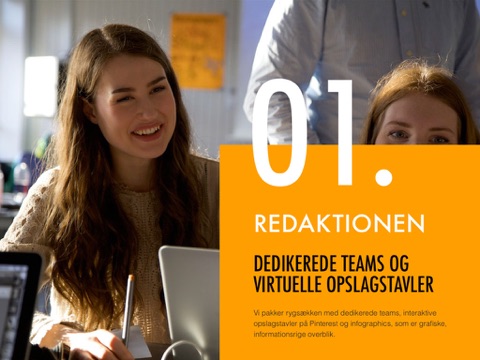 skærmbillede 2