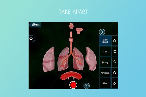 Virtual Reality(VR)Human Lungs screenshot 2