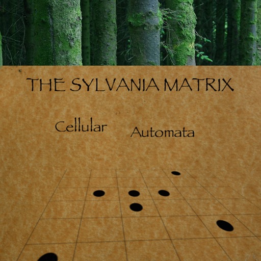 Sylvania Matrix Cellular Automata